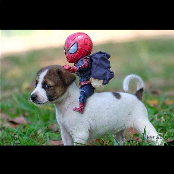 Meet your Posher, Chris - Picture 1 of 1